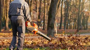 person using leaf blower for leaf removal job