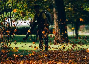 person blowing leaves with leaf blower