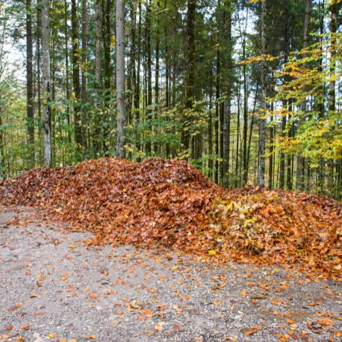 Leaf Removal in Concord